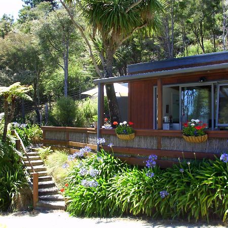 Cabbage Tree Chalet Parapara Kamer foto