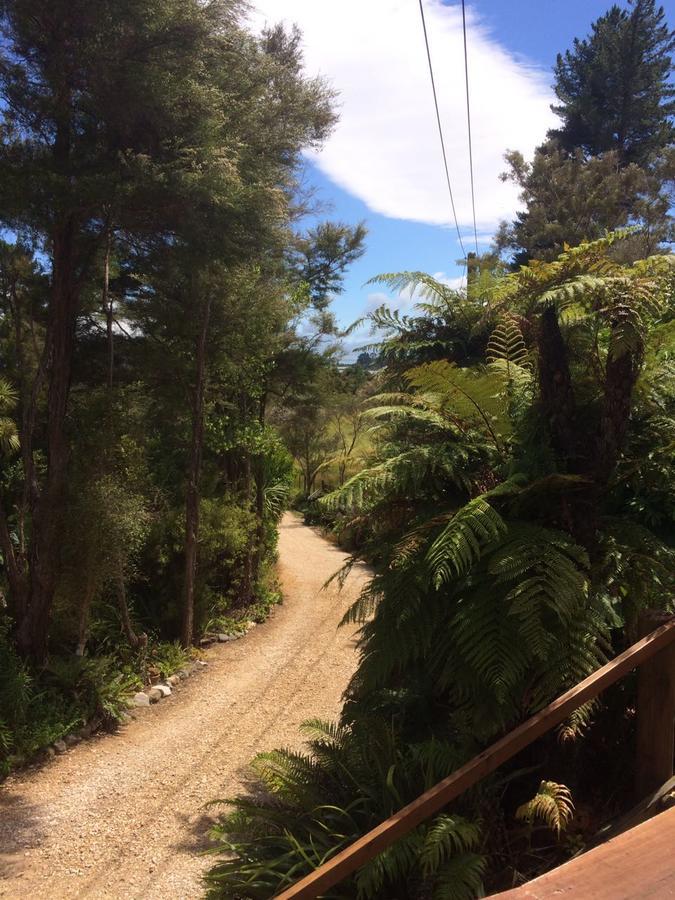 Cabbage Tree Chalet Parapara Buitenkant foto